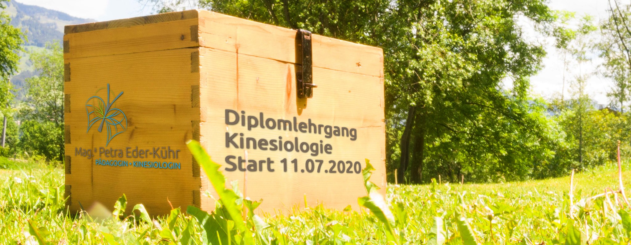Schatzkiste Diplomkinesiologie