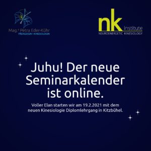 kinesiologieausbildung