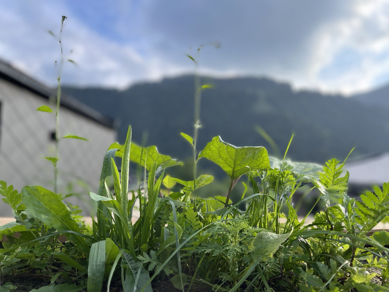 permakultur Eichenweg 33 Kitzbühel